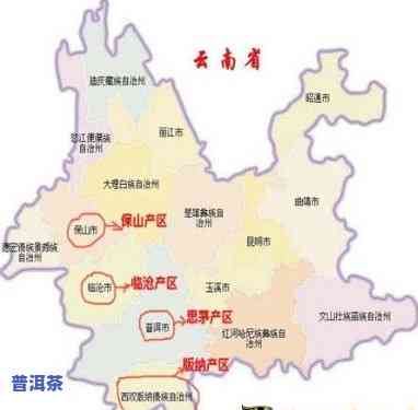 临沧普洱茶批发：市场位置及地址全解析