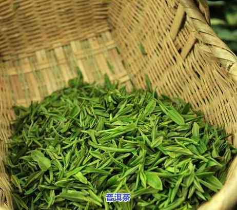 熟普洱茶等级划分与价格，深入熟悉熟普洱茶：等级划分与价格解析