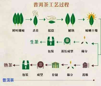 内蒙古普洱茶加工工艺-内蒙古普洱茶加工工艺流程