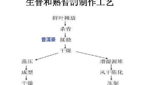 内蒙古普洱茶加工工艺-内蒙古普洱茶加工工艺流程