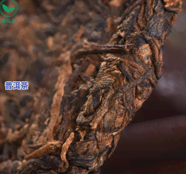 熟普洱饼茶和散茶哪个好，比较分析：熟普洱饼茶与散茶的优劣，哪个更好？