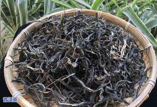 普洱熟茶散茶和茶饼-普洱熟茶散茶和茶饼哪个好