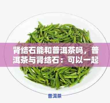 普洱茶对肾结石有害吗能喝吗，普洱茶与肾结石：你能安心饮用吗？