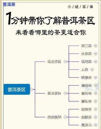 普洱茶的归类疑问分析图：解决茶叶分类难题的图表