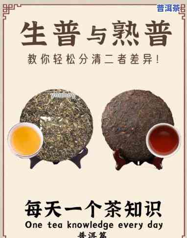 普洱茶变红：起因与能否饮用解析