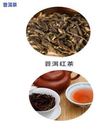 普洱茶是怎样窜红的呢-普洱茶是怎样窜红的呢图片