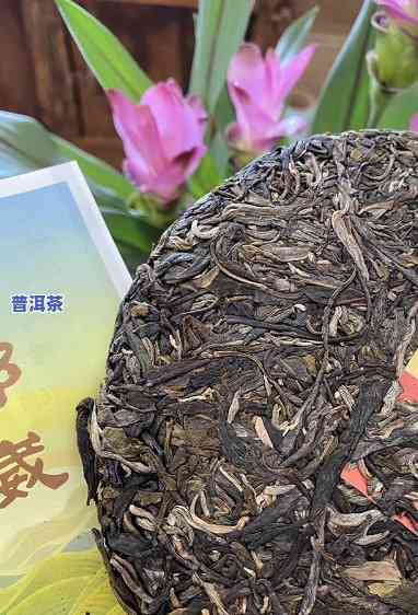 中茶邦崴普洱怎么样-中茶邦崴普洱茶