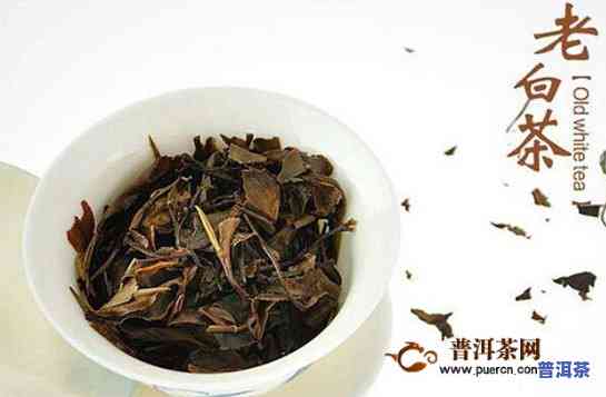 古树白茶算普洱茶类吗，普洱茶的分类：古树白茶属于哪一类？