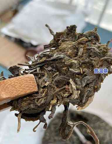 普洱茶太烫了视频大全，「普洱茶太烫了视频大全」：一探究竟，怎样正确泡制普洱茶？