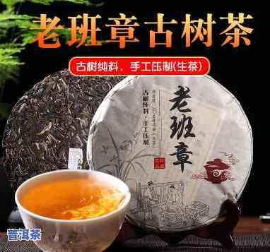 老班章寨古树茶特征-老班章老寨