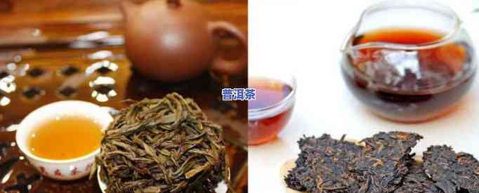 黑乌龙茶和普洱熟茶的区别，深度解析：黑乌龙茶与普洱熟茶的五大区别