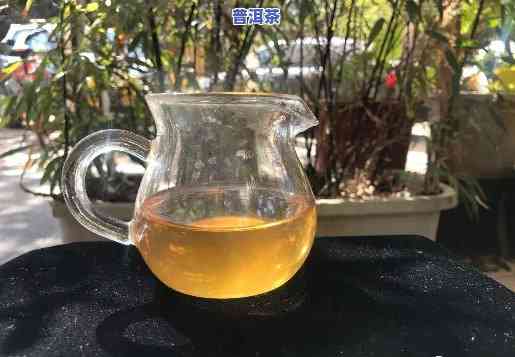 老班章茶气太猛，品鉴报告：老班章茶气究竟有多猛？