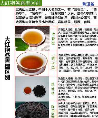 大红袍普洱茶：品种、口感及比较