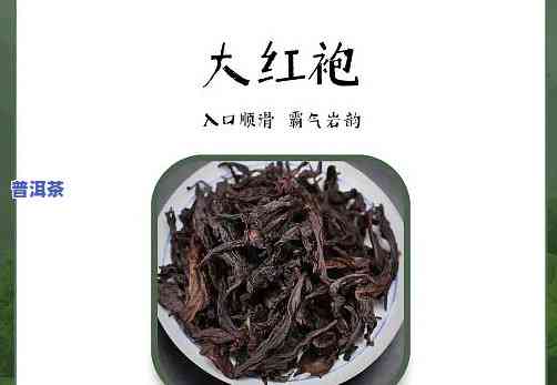 大红袍普洱茶：品种、口感及比较