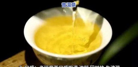 老班章与冰岛普洱茶有何不同？价格比较分析