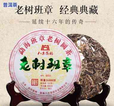 云南老班章老树茶厂-云南班章老树茶厂官网