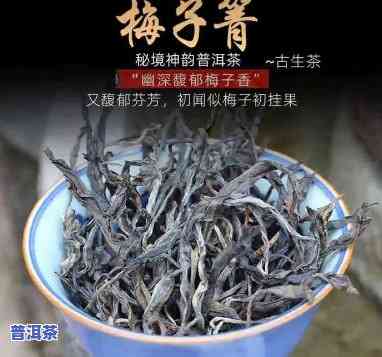 梅子箐普洱茶功效生茶-梅子箐普洱茶特点