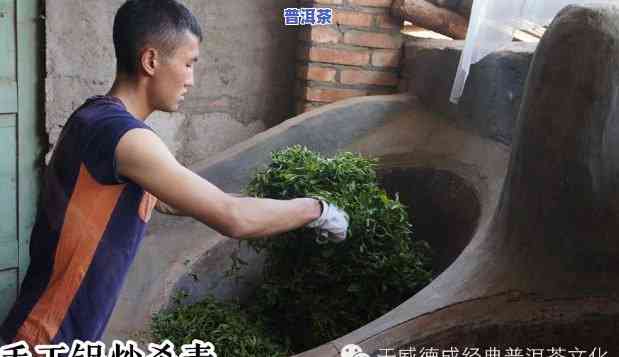 普洱茶制作方法详解：全过程视频教程