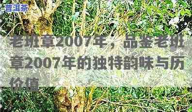 老班章2007年，品鉴老班章2007年普洱茶：岁月的味道与历史的沉淀