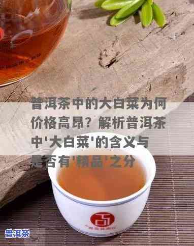 普洱茶中的大白菜：含义解析