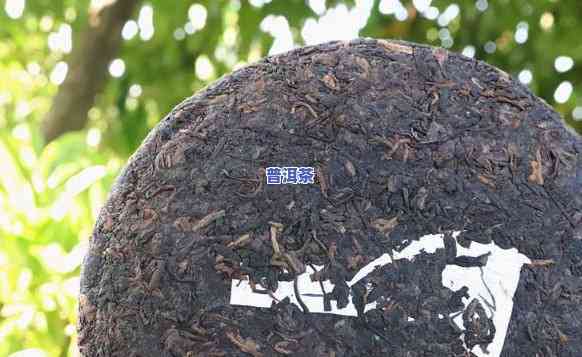 2008年普洱熟茶-2008年普洱熟茶能不能喝