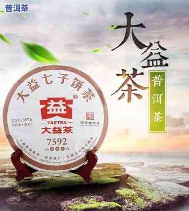 大益普洱茶能存多少年，大益普洱茶的陈化潜力：能存多少年？