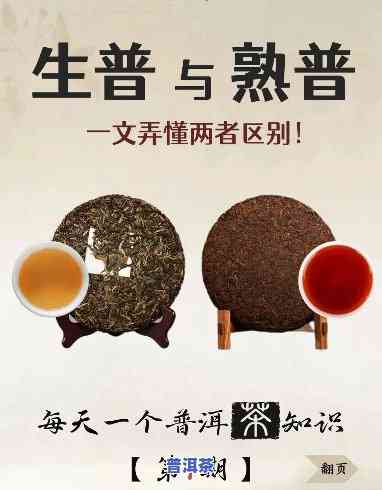 普洱茶怎么分辨熟和生熟，普洱茶的辨识技巧：怎样区分生熟普洱？