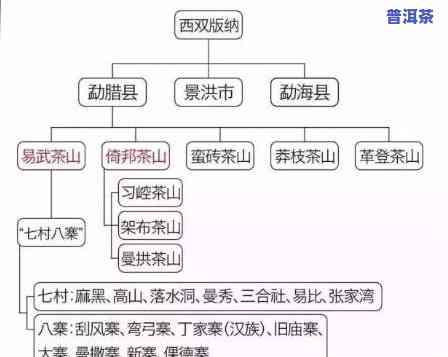 广东也产普洱茶的地方：哪些城市？