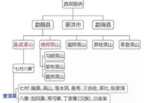 广东产普洱茶吗？探讨其产地与特点