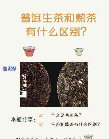 怎样准确区分普洱生茶与熟茶，以及判断其好坏？