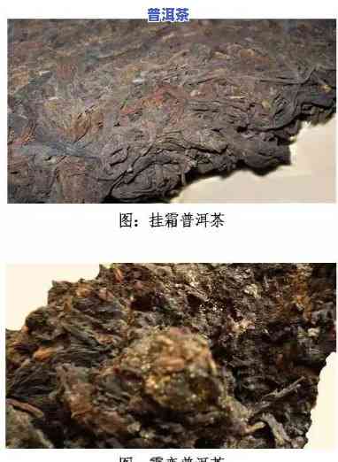 怎样准确区分普洱生茶与熟茶，以及判断其好坏？