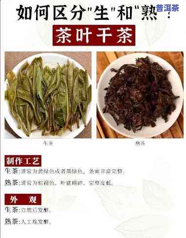 普洱熟茶属于哪一类茶，探秘茶叶世界：熟悉普洱熟茶的类别归属