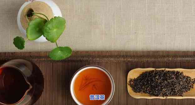 湿气重能喝普洱熟茶吗，湿气重的人是不是适合饮用普洱熟茶？