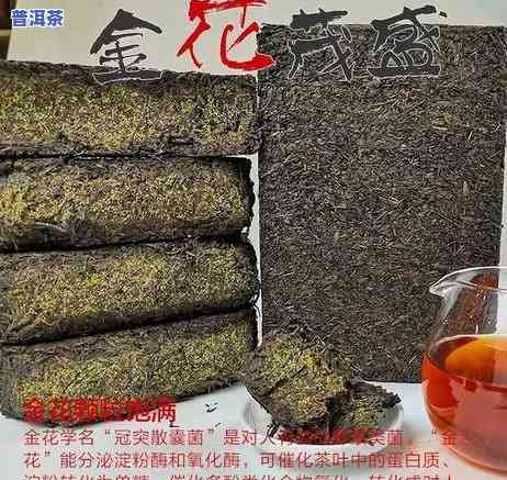 普洱熟茶加枸杞煮茶有何功效？