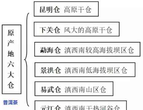 普洱茶仓味，深度解析：普洱茶仓味的由来与作用