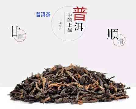 熟普洱茶可以当水喝吗，常喝熟普洱茶，健康又解渴？