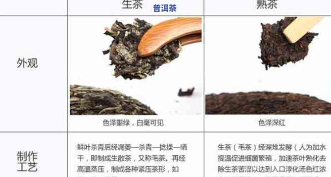 普洱小罐茶是生茶还是熟茶，普洱小罐茶，究竟是生茶还是熟茶？