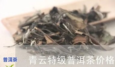 龙门青云普洱茶多少钱一斤，龙门青云普洱茶价格：每斤多少元？