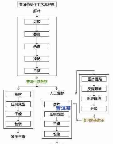 详细复盘普洱茶炒作全过程：全景揭示炒作流程