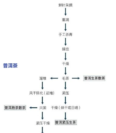 详细复盘普洱茶炒作全过程：全景揭示炒作流程