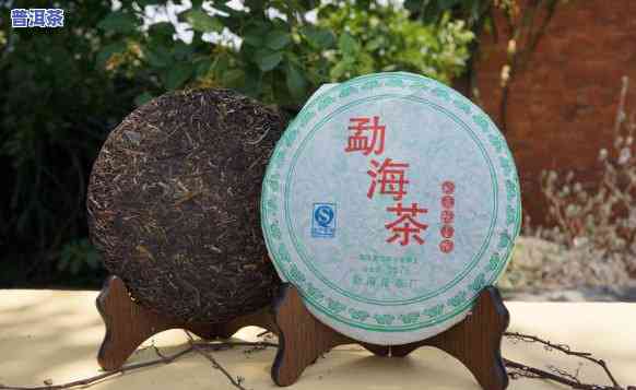 勐海普洱茶有海鲜味道-勐海普洱茶有海鲜味道吗