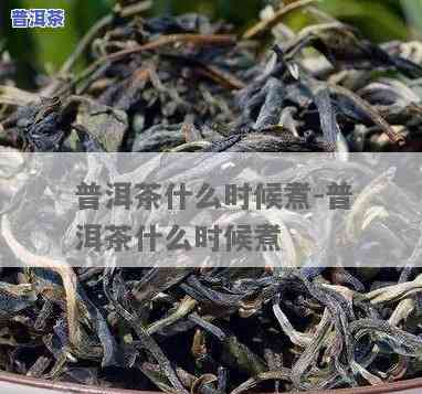 普洱茶蒸煮开茶时间：怎样判断更佳饮用时机？