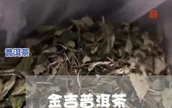 探讨古金普洱茶的价值：一篇论文的研究与分析