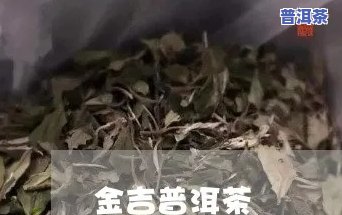 谈论古金普洱茶的价值-谈论古金普洱茶的价值和意义