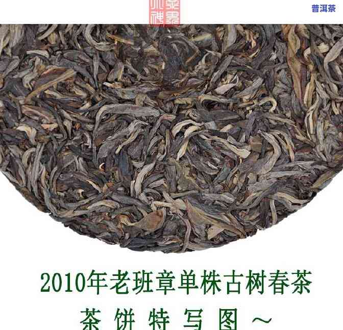 2020古树老班章春茶价格，【2020最新】古树老班章春茶价格行情走势分析