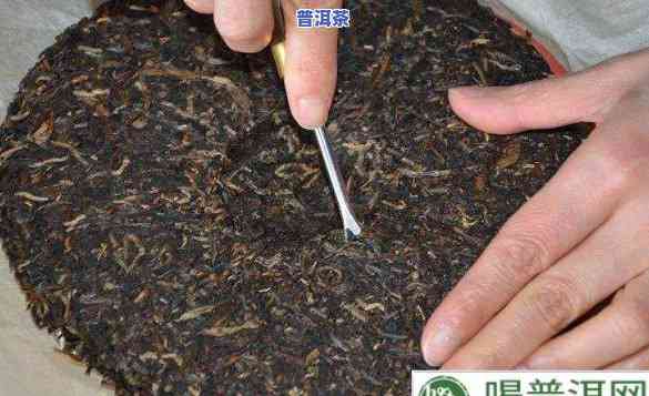 普洱茶可以拆开喝么嘛图片，拆解普洱茶：是不是可以分开喝？看图解析！