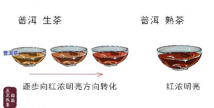 陈化七年的普洱茶口感怎样？详解其四个发展阶段