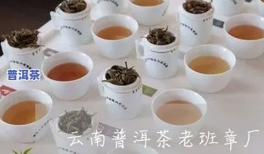 昆明老班章加盟代理公司，发掘云南茶文化：昆明老班章加盟代理公司的机会与挑战