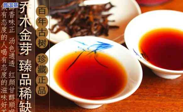 金芽普洱茶：是熟茶还是生茶？