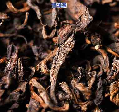 两个男子买普洱茶熟茶-两个男子买普洱茶熟茶的